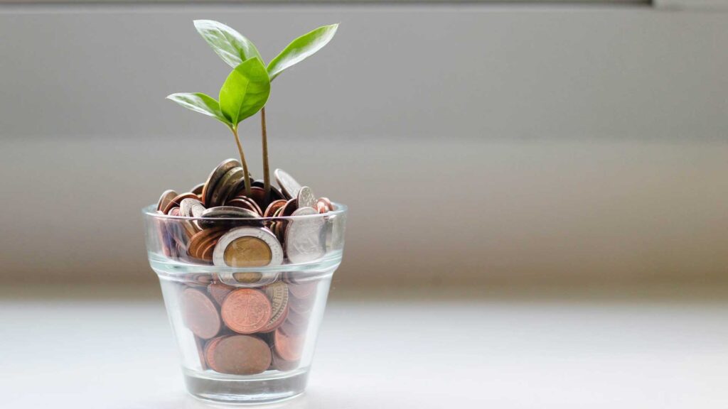 Financial Freedom